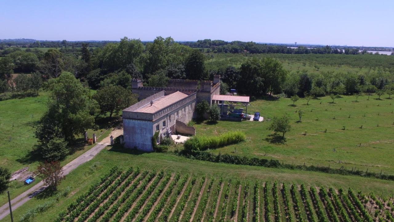 Loft + 2 Chambres Chateau Gourdet Bourg-sur-Gironde Exterior photo